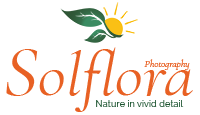 Solflora Photography Logo